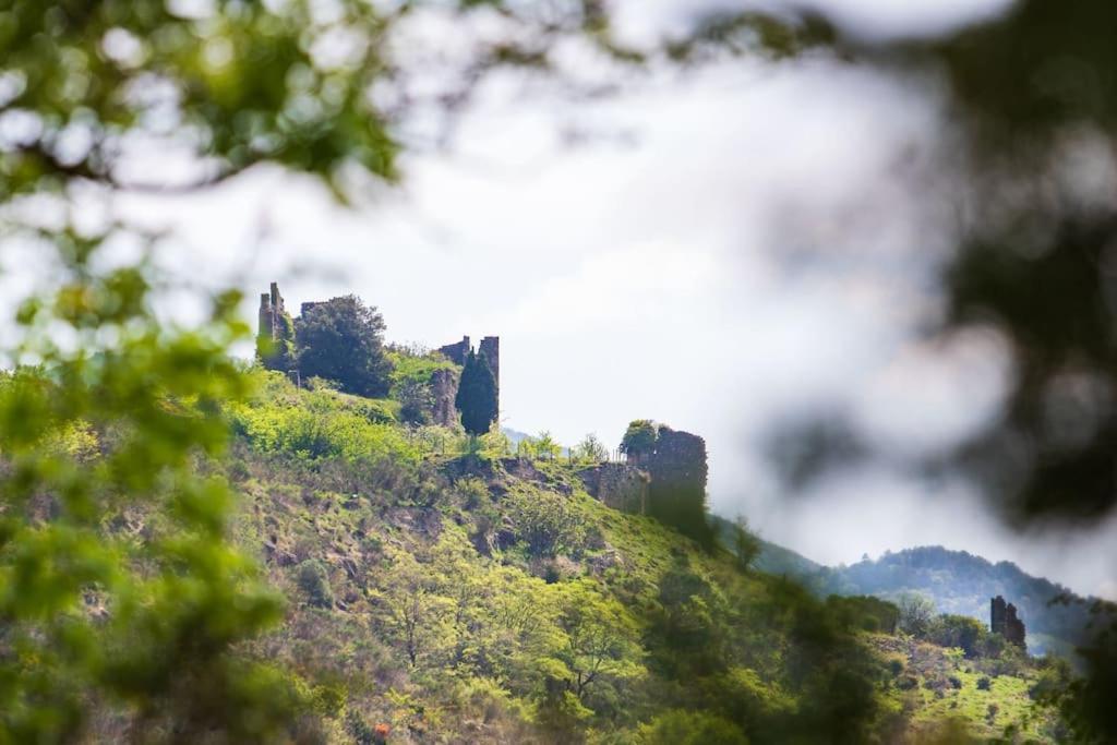 Villa Blanche, Contemporary, Cathars, Couiza, Carcassonne Ngoại thất bức ảnh