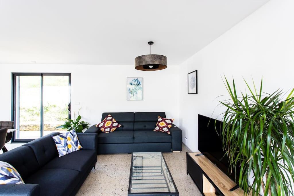 Villa Blanche, Contemporary, Cathars, Couiza, Carcassonne Ngoại thất bức ảnh