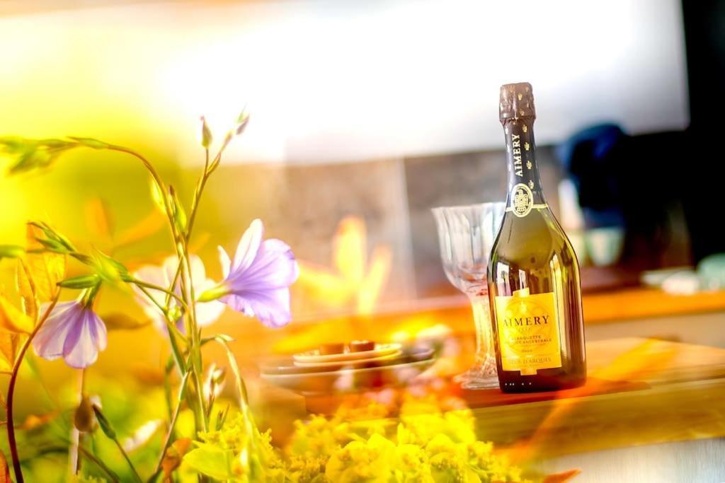 Villa Blanche, Contemporary, Cathars, Couiza, Carcassonne Ngoại thất bức ảnh